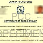 Details! 'Corruption' At Directorate Of Interpol And International Relations