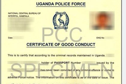 Details! 'Corruption' At Directorate Of Interpol And International Relations