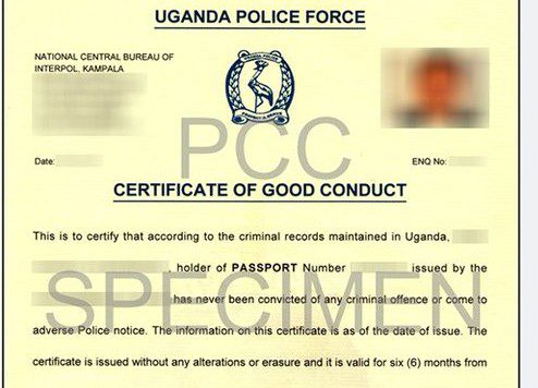 Details! 'Corruption' At Directorate Of Interpol And International Relations