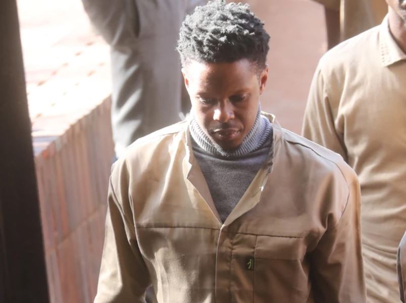 Robert Mugabe Jnr Fined $300 After Conviction For Drug Possession
