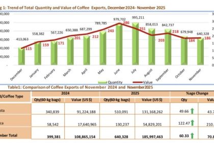 Uganda Earns US$186M From Coffee Exports In November 2025