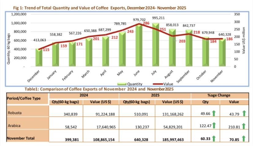 Uganda Earns US$186M From Coffee Exports In November 2025
