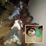 Uganda Police Disrupt Criminal Gang, Arrest 10 In Kira Municipality