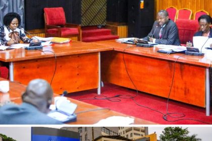 Specialist Shortage At Mulago Neonatal intensive care Unit Puts Premature Babies At Risk