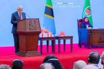 Tanzania Inquiry Concludes 'October 29 Violence' Was Premeditated, Coordinated Operation - Not Peaceful Protest