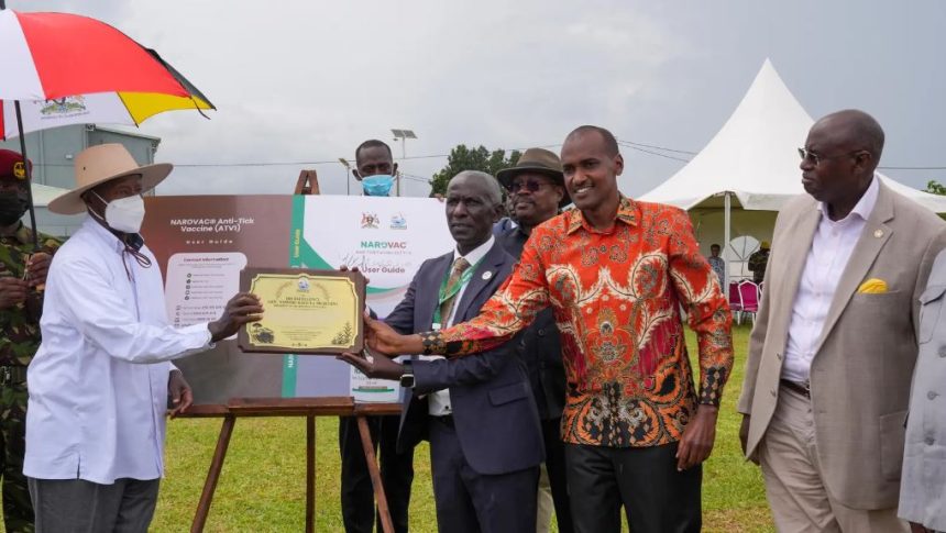 President Museveni Launches Uganda’s First Anti-Tick Vaccine