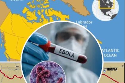 Canada Introduces Temporary Border Measures In Response To Ebola Disease Outbreak