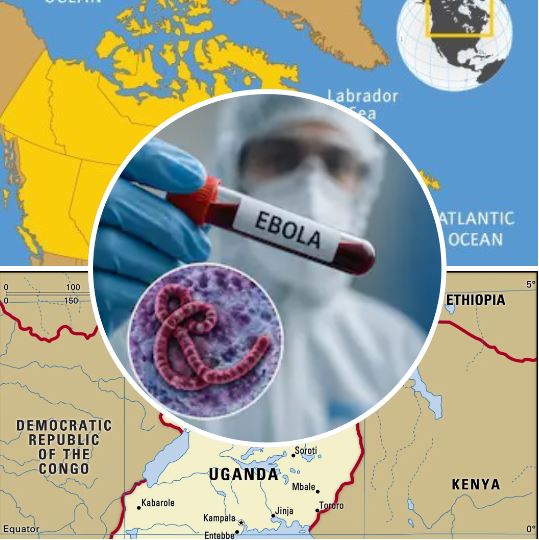 Canada Introduces Temporary Border Measures In Response To Ebola Disease Outbreak
