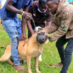 UWA’s ‘One Health Camp’ In Entebbe Vaccinates 547 Animals, Aims To Eliminate Rabies By 2030