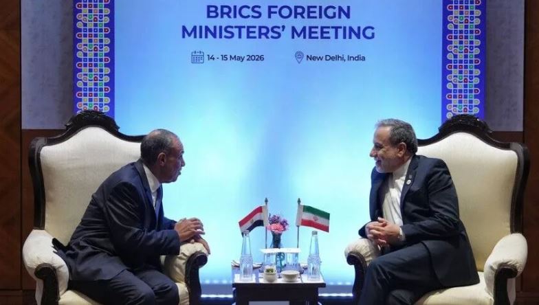 Iran, Egypt Discuss US Diplomatic Negotiations, Regional Developments