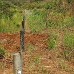 Government Plans Electric Fences To Curb Human-Wildlife Conflict