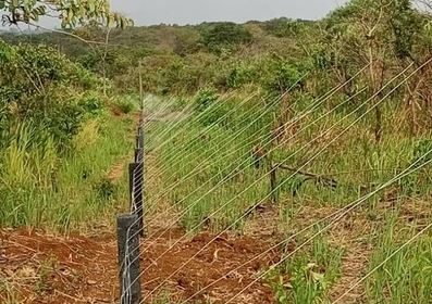 Government Plans Electric Fences To Curb Human-Wildlife Conflict