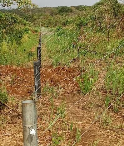Government Plans Electric Fences To Curb Human-Wildlife Conflict