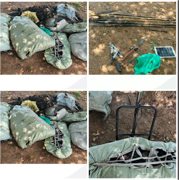 UWA Secures Deterrent Sentences for Four Wildlife Offenders In Masindi
