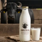 Kenya's President Ruto Proposes Buffalo Farming And Camel Milk Production To Boost Milk Supply 