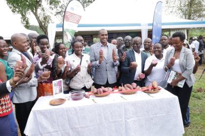 Uganda Unveils Three New Purple-Fleshed Sweet Potato Varieties On World Food Day 2026