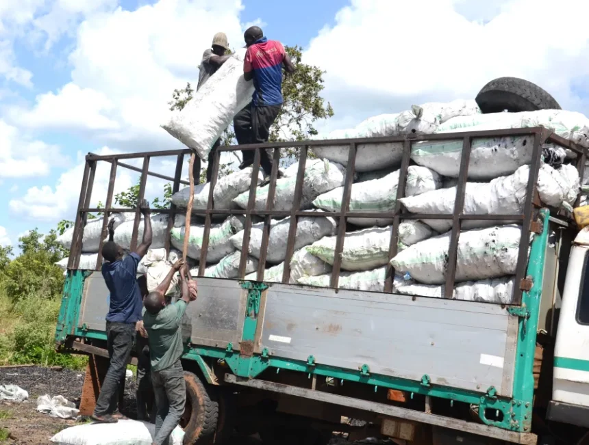 Speaker Oboth Directs Suspension Of Charcoal Ban Enforcement
